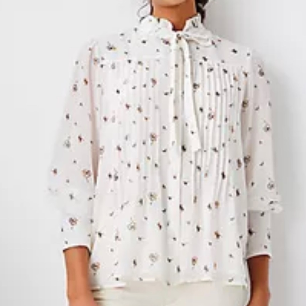 Floral Pintucked Tie Neck Blouse
